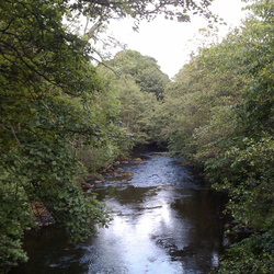River to Pateley Bridge