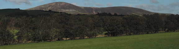 Mountain behind the trees