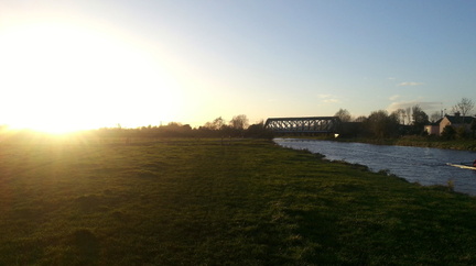 Ditton Meadow