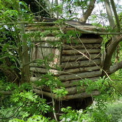 Tree house