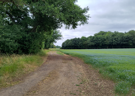 Lane
